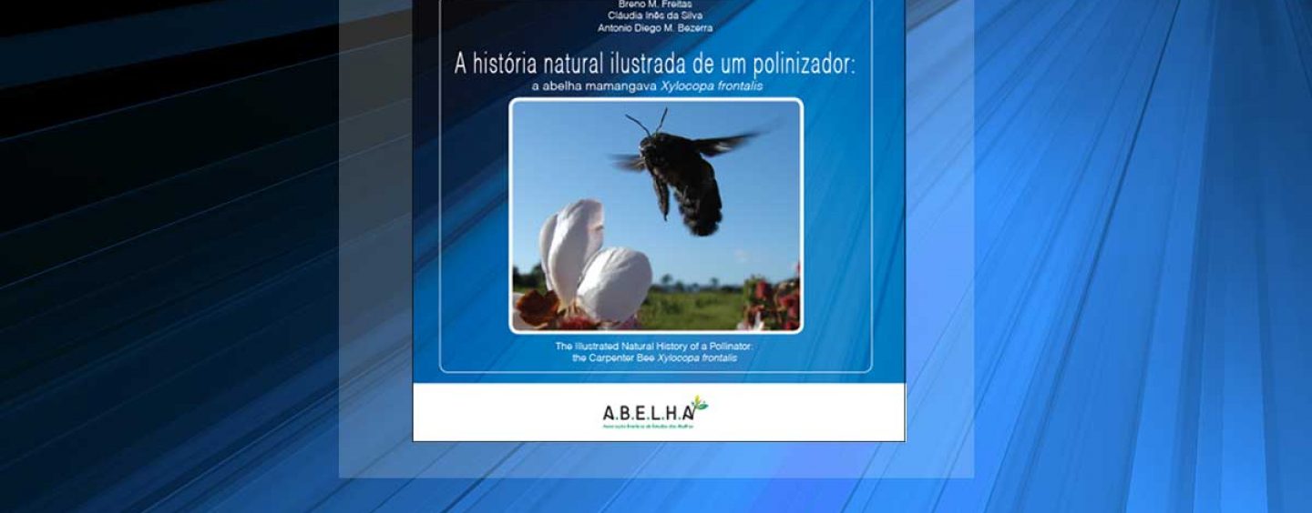 A.B.E.L.H.A. lança livro sobre abelhas mamangavas