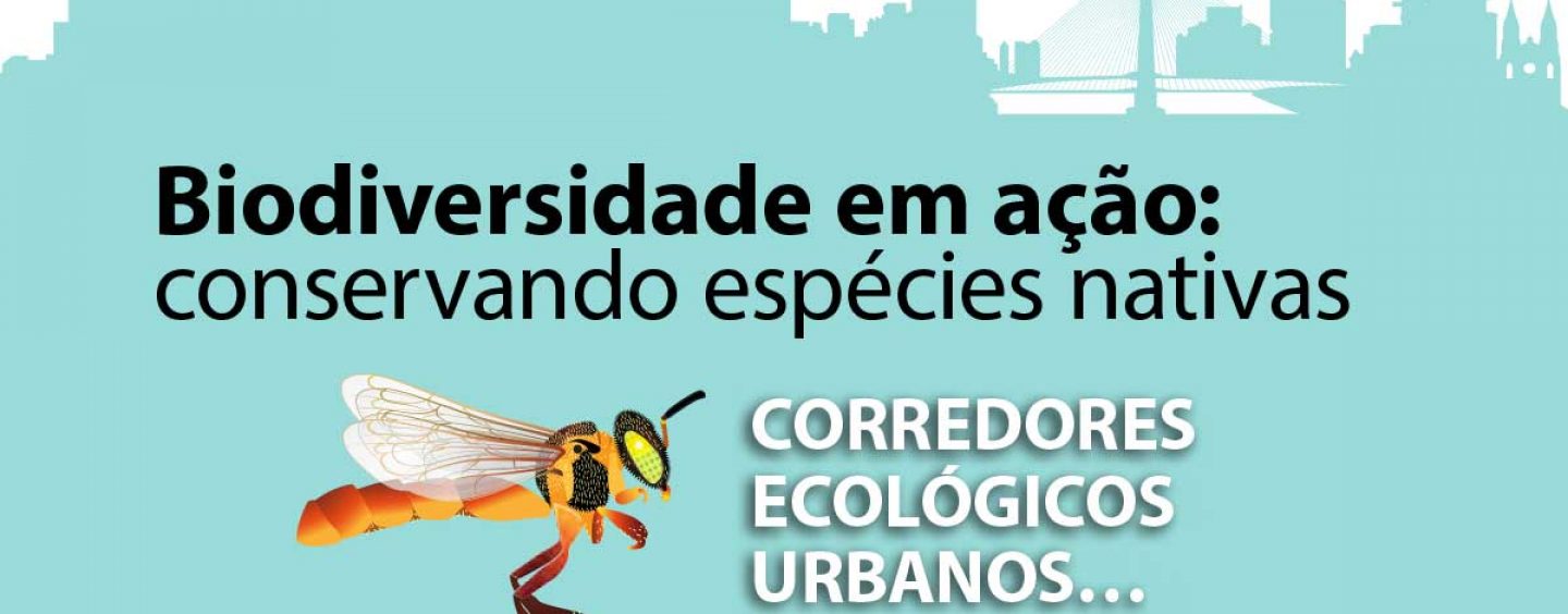 E-book ensina cidadãos a conservar a biodiversidade em centros urbanos