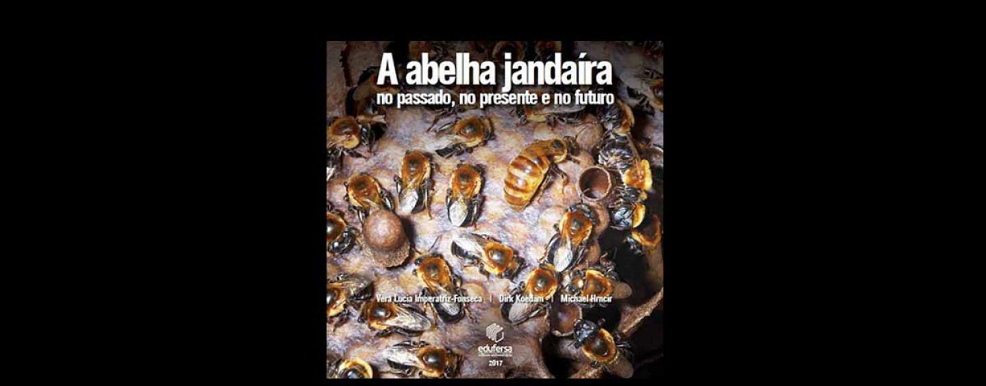 Livro traça a rica história da abelha jandaíra