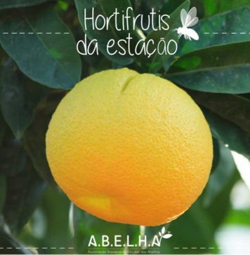 Hortifrutis Da Esta O A B E L H A