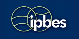 Saiba mais sobre a Plataforma Intergovernamental para Biodiversidade e Serviços Ecossistêmicos (IPBES)