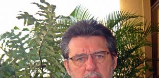 Abelhas aprendem a resolver quebra-cabeças