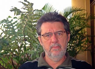 Abelhas aprendem a resolver quebra-cabeças