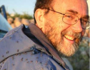 A polinização é central para a produção de alimentos