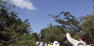 Apicultores chegam a produzir 400 toneladas anuais de mel no Espírito Santo