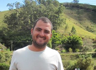 Por dentro da técnica de produção em massa de abelhas sem ferrão