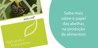 A.B.E.L.H.A. lança e-book com foco em polinização