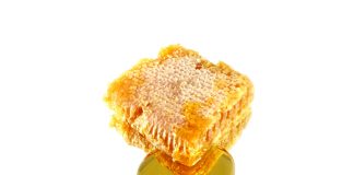 Normas para a certificação do Mel do Pantanal