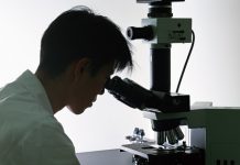 Jovens pesquisadores poderão participar da avaliação global de biodiversidade