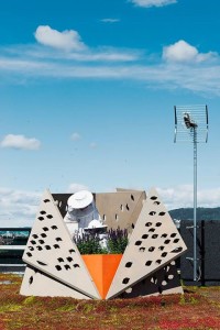 Crédito: Marie Skjelbred/Facebook