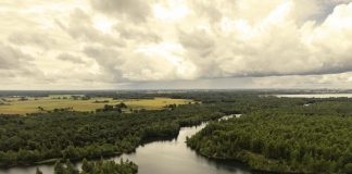 Evento internacional na USP trata da relação entre sistemas naturais e saúde humana