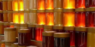 Capacitação sobre mel na UPF integra assistentes técnicos da Emater