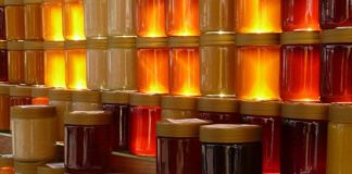 Cooperativa de Sorocaba recebe apoio do Projeto Microbacias 2