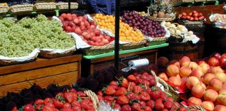 População desconhece a importância da polinização para a produção de alimentos