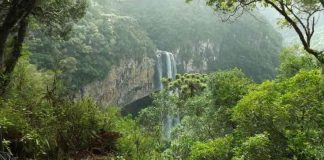 Brasil comemora acordo do clima “justo e ambicioso”