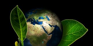 Dia da Terra 2019 – ONU pede compromisso com combate às mudanças climáticas