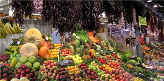 Insetos polinizadores ajudam a garantir segurança alimentar