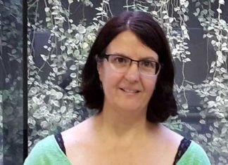 Abelhas polinizadoras importantes para a agricultura brasileira