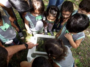 meliponário-iratama---Crédito-Cristiano-Menezes-reduzido