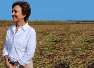 “Existe um imenso potencial para ampliar o papel da cana no combate às alterações climáticas”