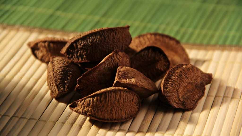 castanha-do-Brasil-Crédito-Ronaldo-Rosa