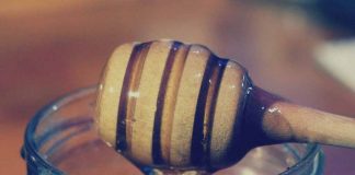 Família produz 300 litros de mel por ano com abelhas sem ferrão na PB