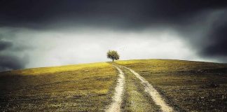 Acordo de Paris é aprovado no Senado