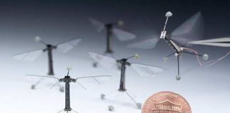 Abelhas-robôs poderão agir como polinizadoras