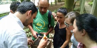 Minicurso sobre abelhas encerra a 29ª RAIB