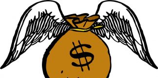 Sumiço das abelhas pode gerar perdas bilionárias para agricultura