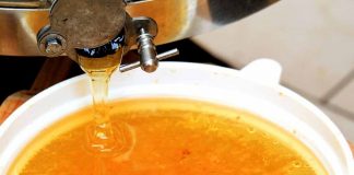 Extração e beneficiamento influenciam qualidade de produtos apícolas