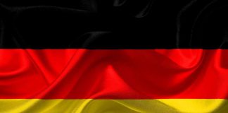 Pesquisador encontra espécie de abelha quase extinta na Alemanha