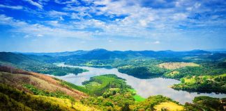 ONU declara Década sobre Restauração de Ecossistemas