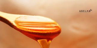 CSA 2017 – Lições do congresso sobre Ciência Cidadã