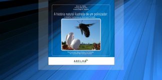 A.B.E.L.H.A. lança livro sobre abelhas mamangavas
