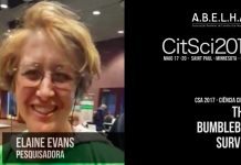 The Bumblebee Survey The Bumblebee Survey