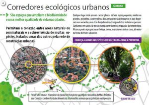 biodiversidade em centros urbanos corredores ecológicos urgabos