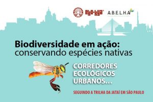 biodiversidade em centros urbanos