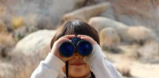 Ciência Cidadã – Jornalista americana apresenta livro sobre o tema no CSA 2017