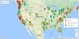 Ciência Cidadã – Projeto ZomBee Watch