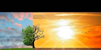 Acordo de Paris sobre mudanças climáticas: os compromissos