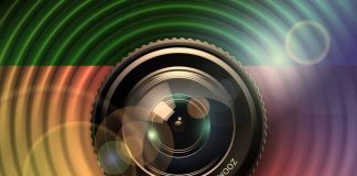 Inscrições encerradas para o Concurso Fotográfico Abelhas sem Ferrão em Foco Abelhas podem ser modelo para o próximo grande salto na tecnologia das câmeras