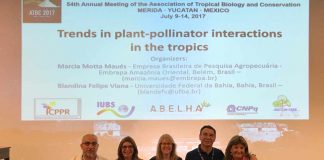 México recebe simpósio sobre interação entre plantas e polinizadores nos trópicos Simpósio sobre polinizadores Trends in plant-pollinator interaction in tropics