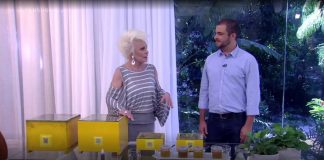 A.B.E.L.H.A. na Globo? Sim!!! abelha na globo sim com Ana Maria Braga e Cristiano Menezes