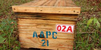 Apiário Experimental I