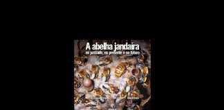 Livro traça a rica história da abelha jandaíra