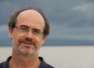 A revolução das abelhas sem ferrão