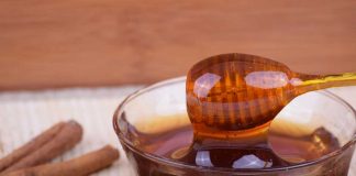 Mel orgânico gera oportunidades para apicultores de SC