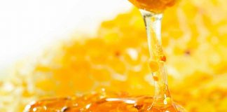 Vem aí o I Encontro de Apicultores e Meliponicultores da Região de Andradina