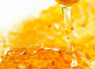 Apiário Experimental II – Apicultura consorciada com cultivos de girassol e nabo forrageiro